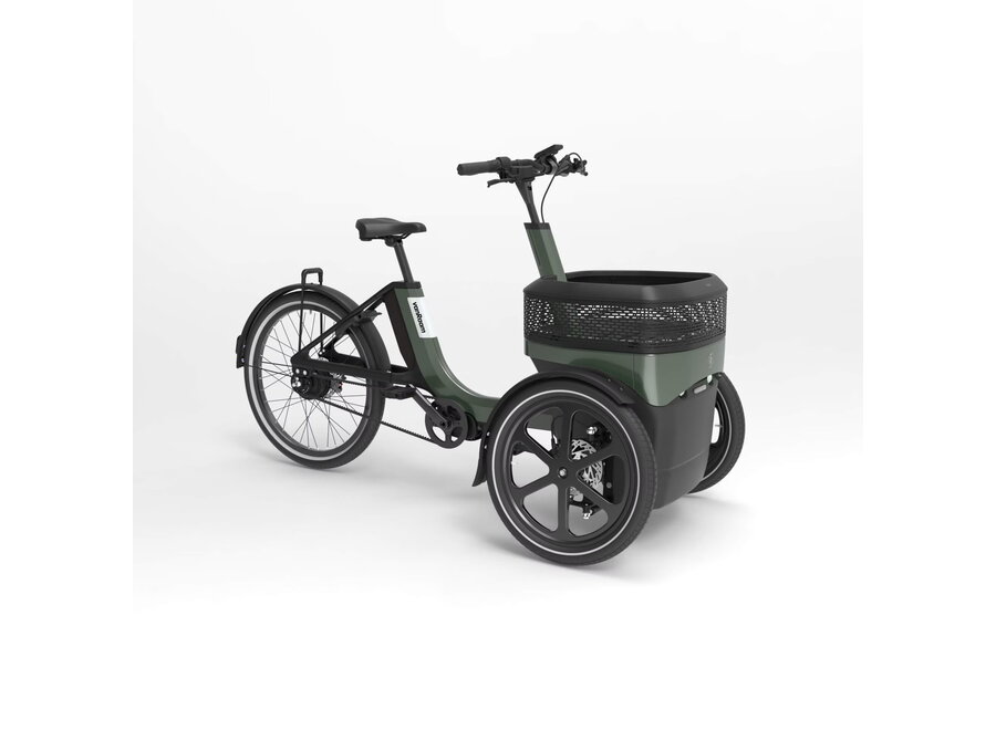 Thuja Smooth Enviolo Adult Tricycle Thuja Green