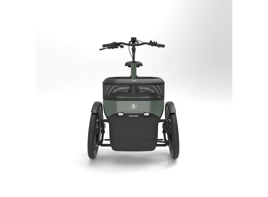 Thuja Smooth Enviolo Adult Tricycle Thuja Green