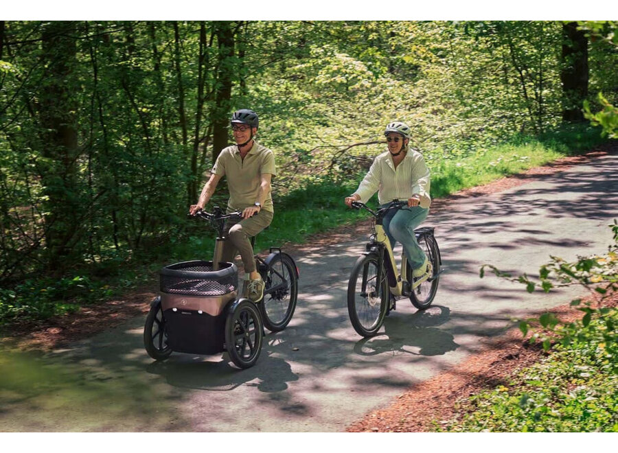 Thuja Active Shimano Tricycle Stonewash Grey Matt