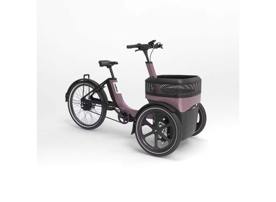 Thuja Smooth Enviolo Adult Tricycle Dusty Taupe