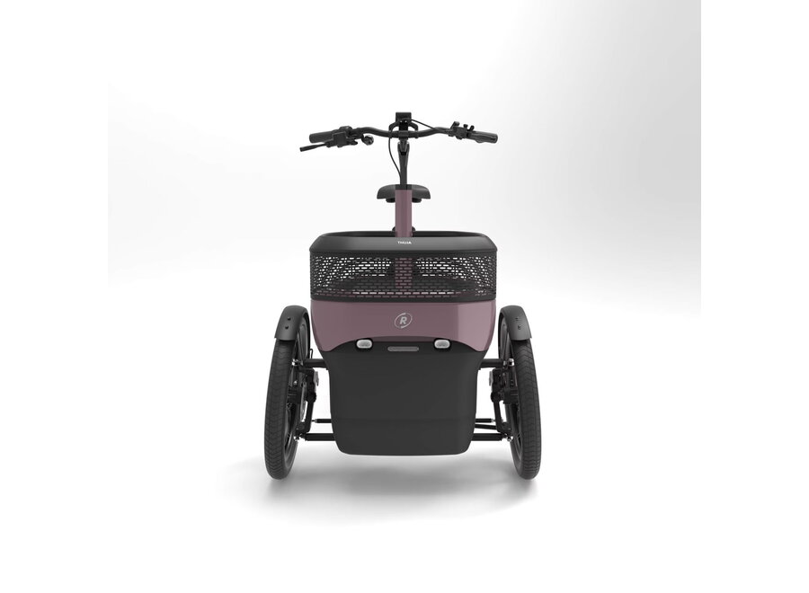 Thuja Smooth Enviolo Adult Tricycle Dusty Taupe