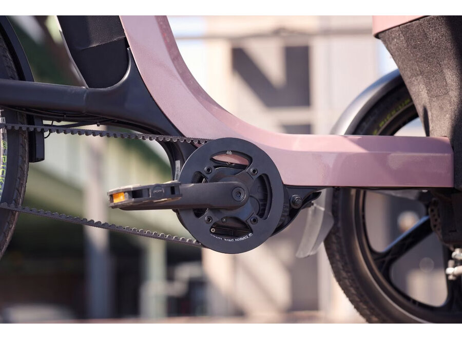 Thuja Smooth Enviolo Adult Tricycle Dusty Taupe