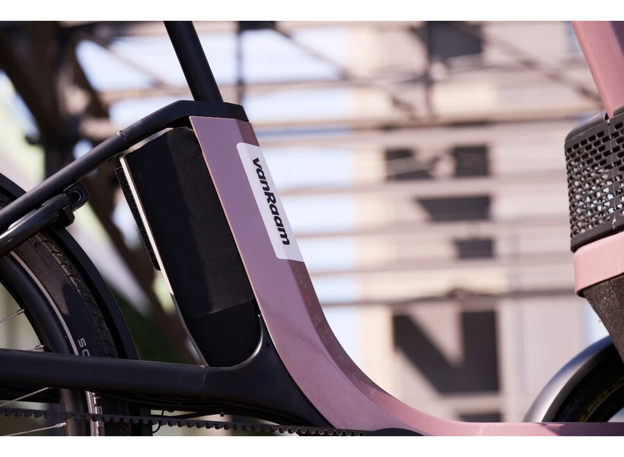 Thuja Smooth Enviolo Adult Tricycle Dusty Taupe