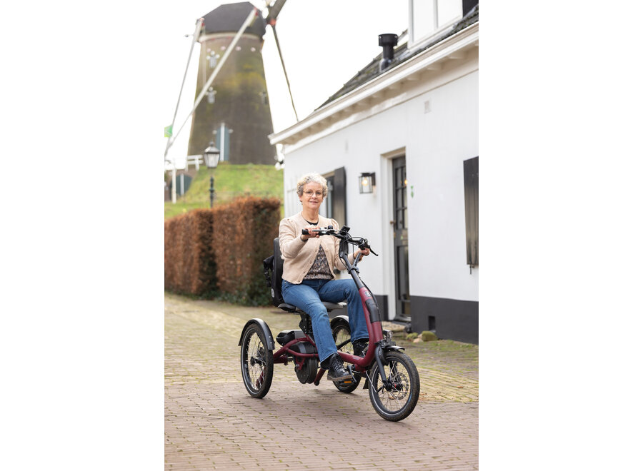 Easy Rider Compact Tricycle Olive Grey Matt