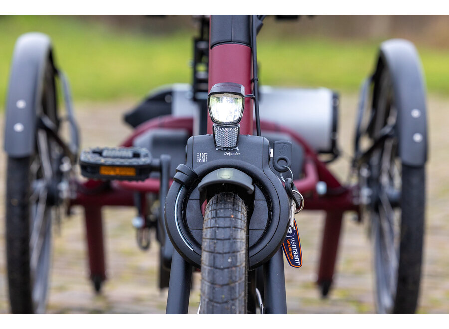 Easy Rider Compact Tricycle Olive Grey Matt