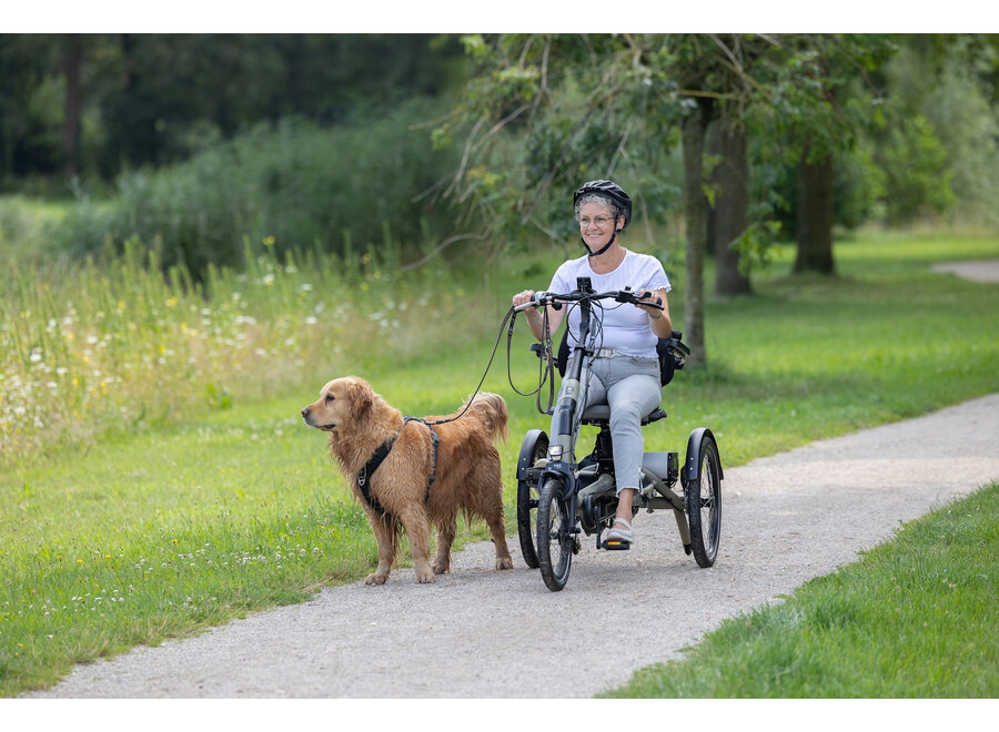 Easy Rider Compact Tricycle Olive Grey Matt