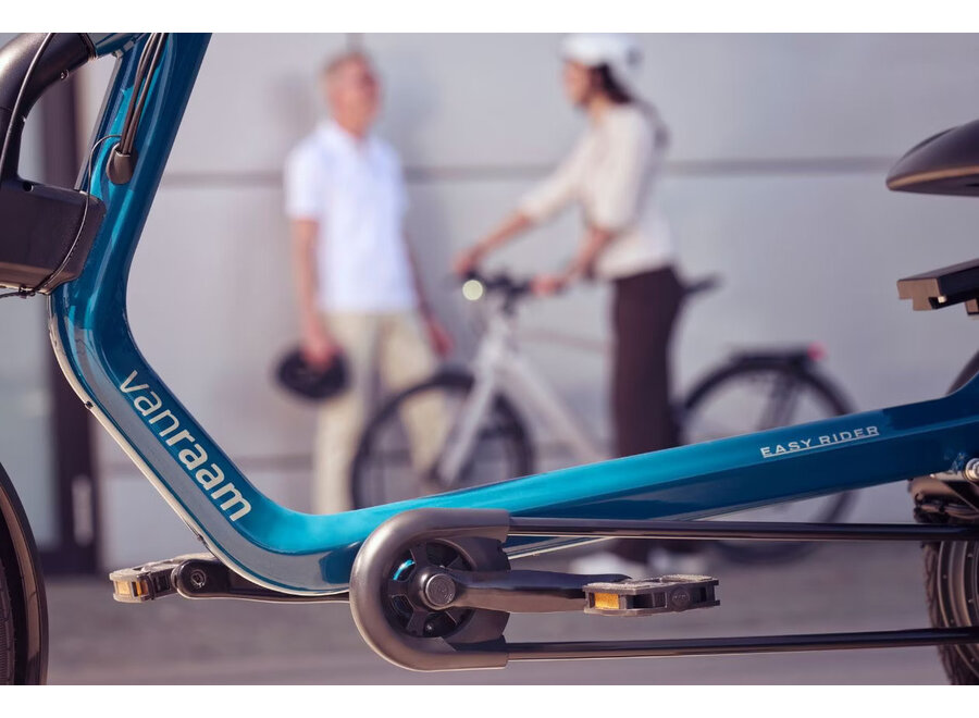 Easy Rider L Electric Tricycle Yellow Orange Matt