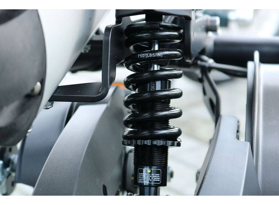 Easy Rider L Electric Tricycle Yellow Orange Matt