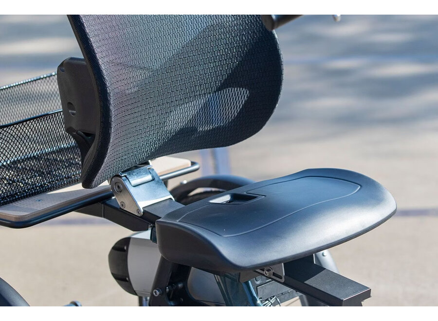 Easy Rider L Electric Tricycle Ocean Blue Gloss