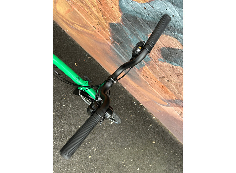 Demo C Line 12 Speed Palm Green High bar