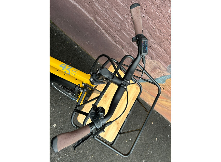 Demo Bosch Cargo Line 725Wh - Enviolo AutomatiQ - Fully Loaded -  Broom Yellow