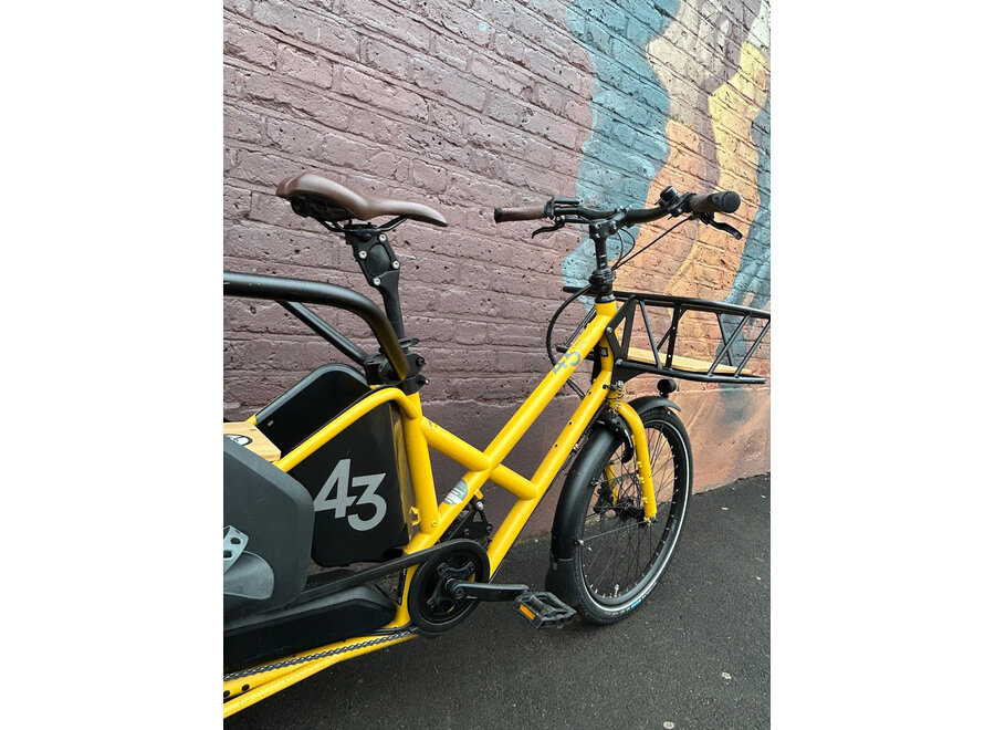 Demo Bosch Cargo Line 725Wh - Enviolo AutomatiQ - Fully Loaded -  Broom Yellow