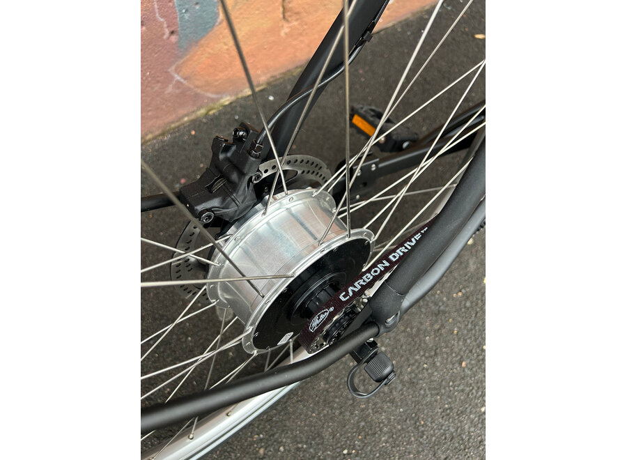 Demo Electric Full Size Folding Bike