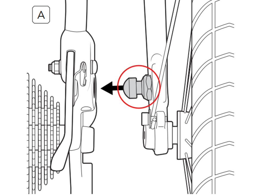 Anchor Bolt - Tern BYB