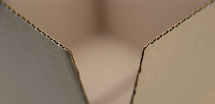 Enkelgolf kartonnen dozen