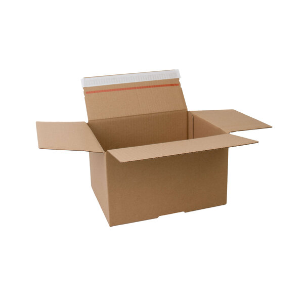 Levering uit voorraad Verzenddozen met autolock bodem 260x200x160mm