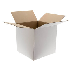 Kartonnen dozen wit 200x200x200mm