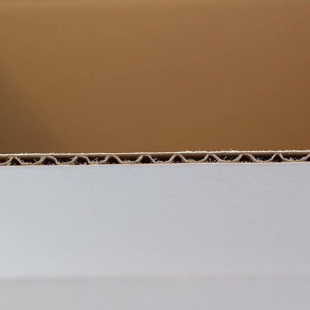 Levering uit voorraad Kartonnen dozen wit 305x215x200mm