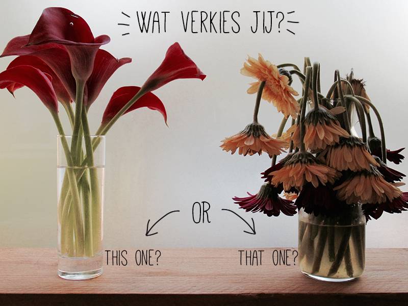 ACTIE: WINTER GLOW
