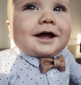 Fliege aus Birkenrinde