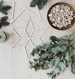 PAPURINO Christmas star natural colour