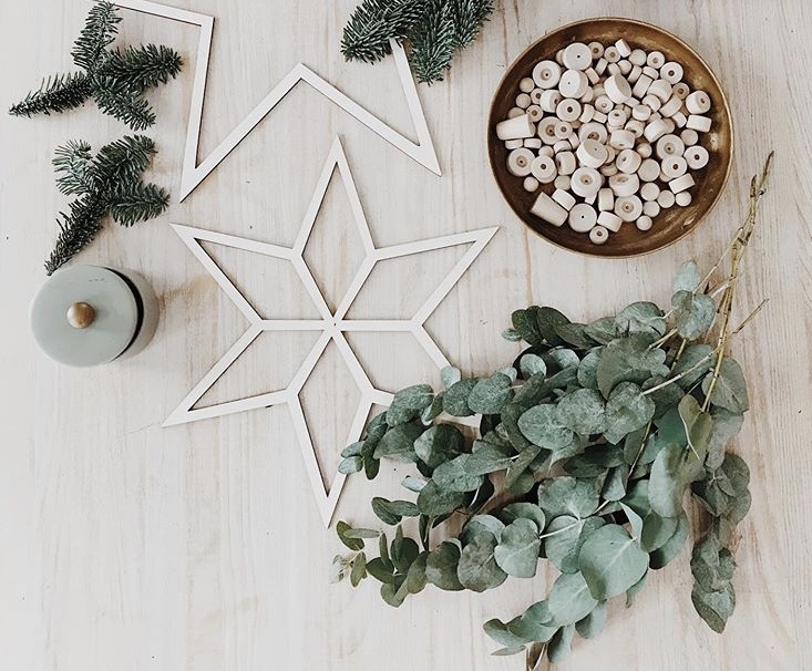 PAPURINO Christmas star natural colour d 20 cm