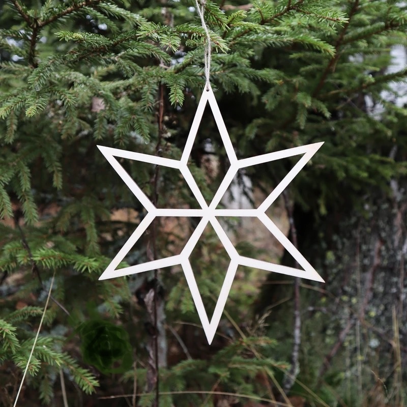 PAPURINO Christmas star natural colour d 20 cm