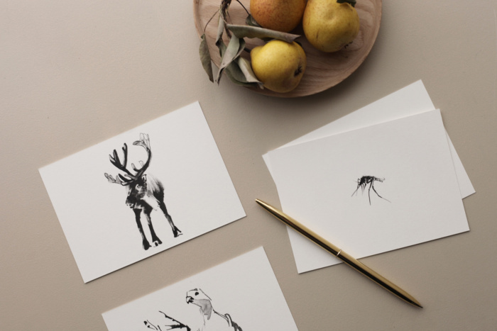 TEEMU JÄRVI ILLUSTRATIONS Arctic Greetings Postkarten-Set
