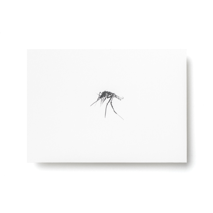 TEEMU JÄRVI ILLUSTRATIONS Arctic Greetings Postkarten-Set