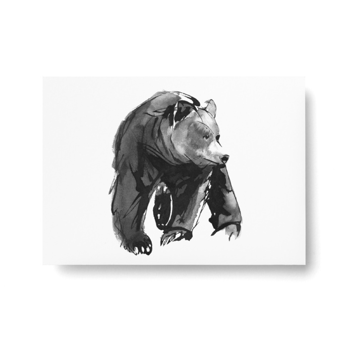 TEEMU JÄRVI ILLUSTRATIONS Arctic Greetings Postkarten-Set