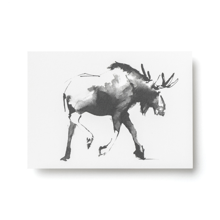 TEEMU JÄRVI Elk carte postale