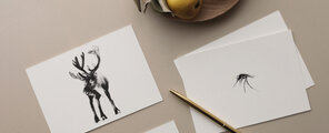 TEEMU JÄRVI ILLUSTRATIONS