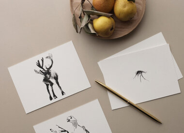 TEEMU JÄRVI ILLUSTRATIONS