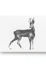 TEEMU JÄRVI ILLUSTRATIONS Forest  Greetings Postkarten-Set