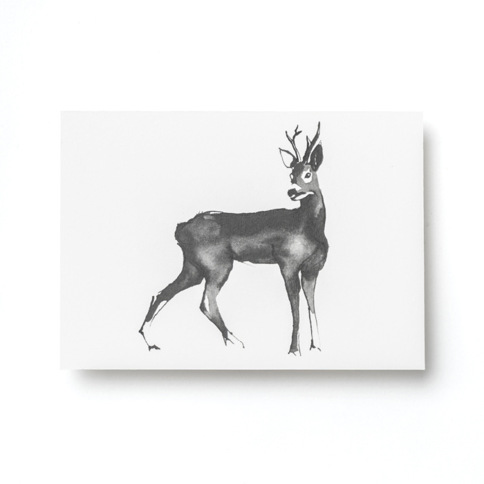 TEEMU JÄRVI ILLUSTRATIONS Forest  Greetings card set