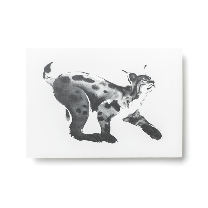 TEEMU JÄRVI ILLUSTRATIONS Forest  Greetings Postkarten-Set