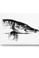 TEEMU JÄRVI ILLUSTRATIONS Hecht Postkarte