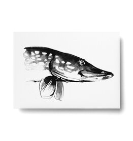 TEEMU JÄRVI ILLUSTRATIONS Hecht Postkarte