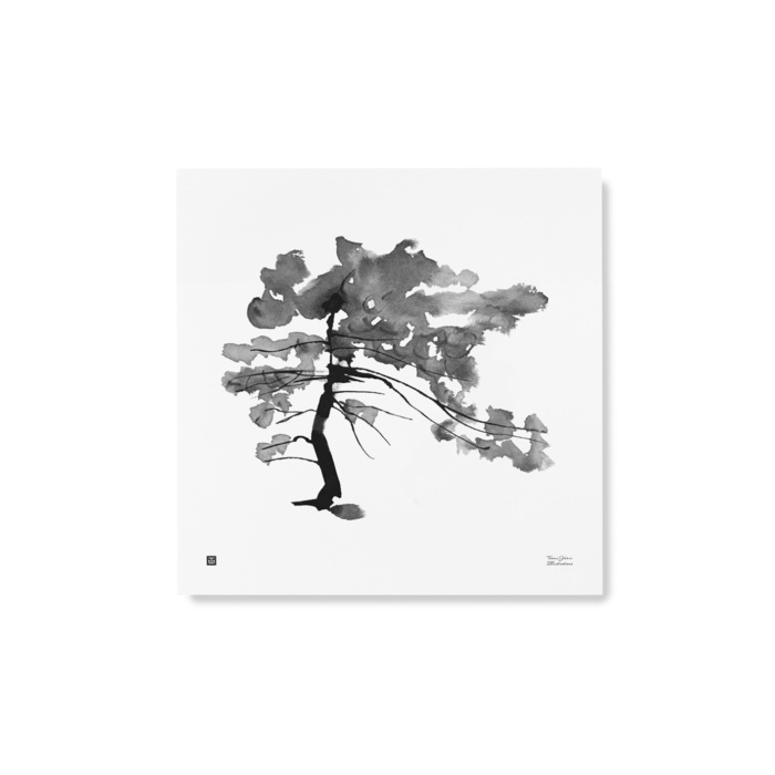 TEEMU JÄRVI Pine Tree art print 50 x 50 cm