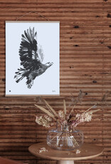 TEEMU JÄRVI Eagle art print 50 x 70 cm