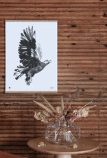 TEEMU JÄRVI ILLUSTRATIONS Adler Kunstdruck 50 x 70 cm