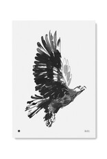 TEEMU JÄRVI ILLUSTRATIONS Adler Kunstdruck 50 x 70 cm