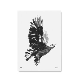 TEEMU JÄRVI ILLUSTRATIONS Eagle art print 50 x 70 cm