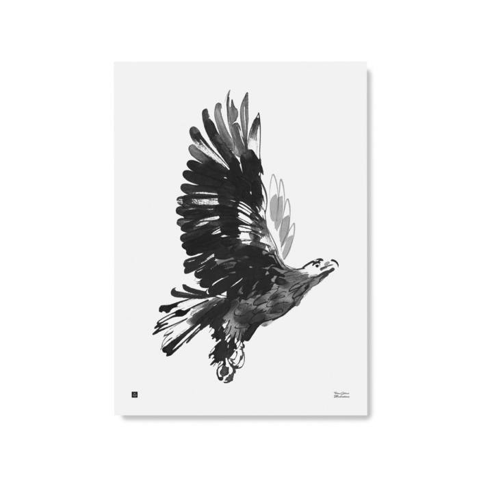 TEEMU JÄRVI ILLUSTRATIONS Eagle art print 50 x 70 cm