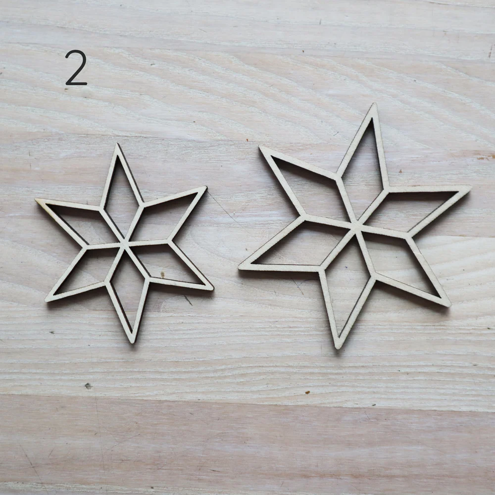 PAPURINO Weihnachtsstern naturfarben D 7 oder 9  cm