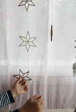 PAPURINO Weihnachtsstern naturfarben D 7 oder 9  cm