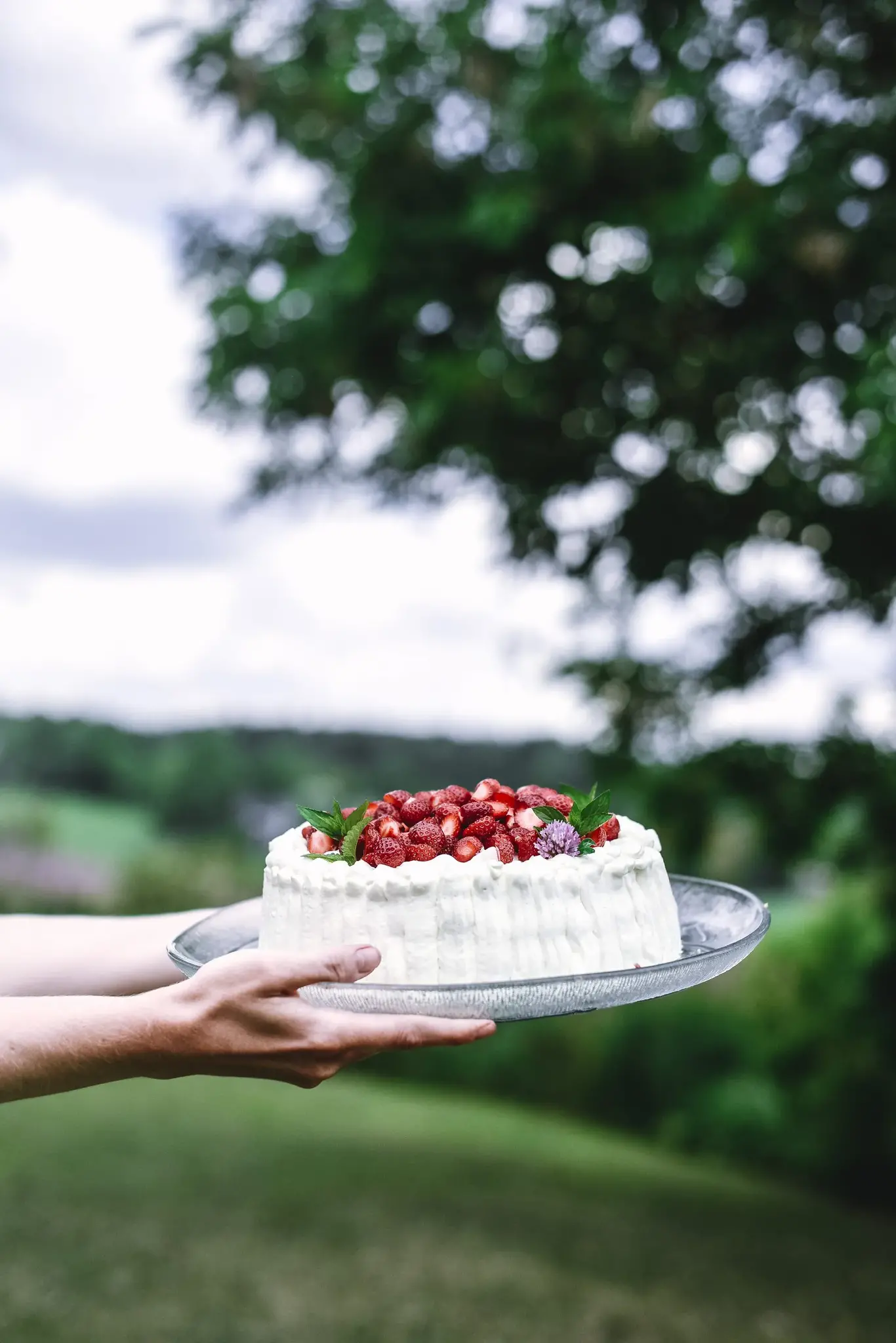 COZY PUBLISHING Eat Finland Buch