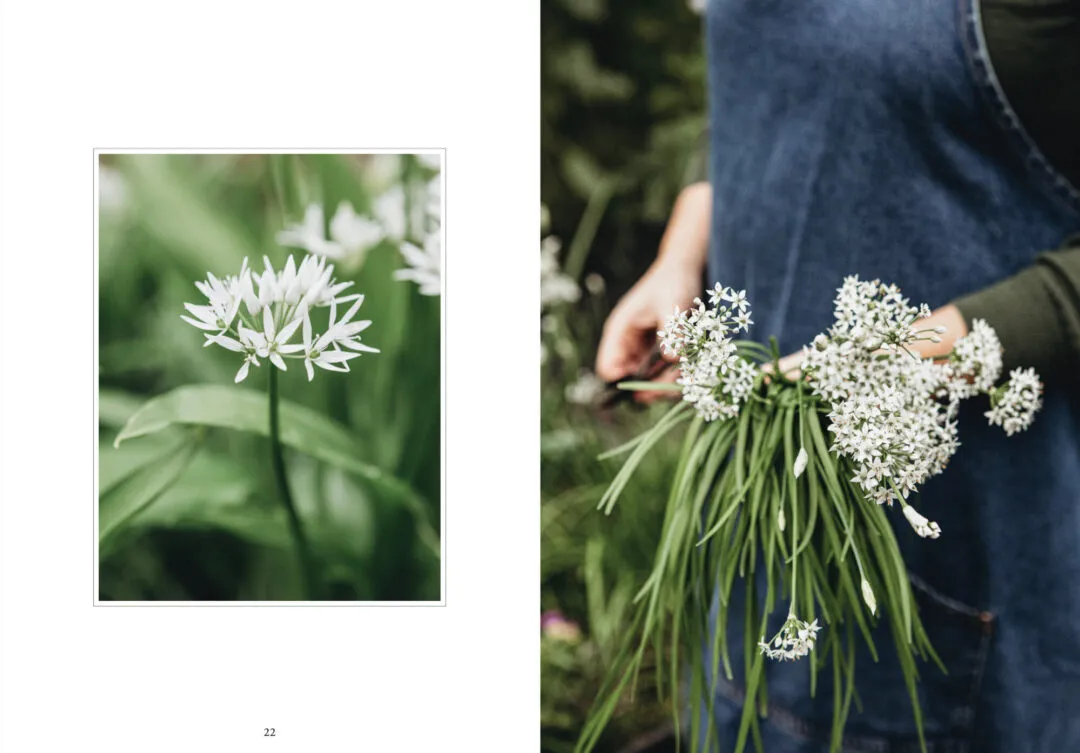 COZY PUBLISHING Living with Herbs Book