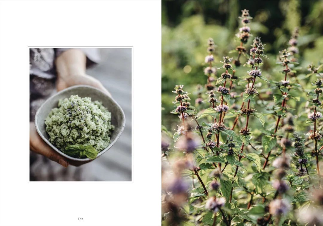 COZY PUBLISHING Living with Herbs Book