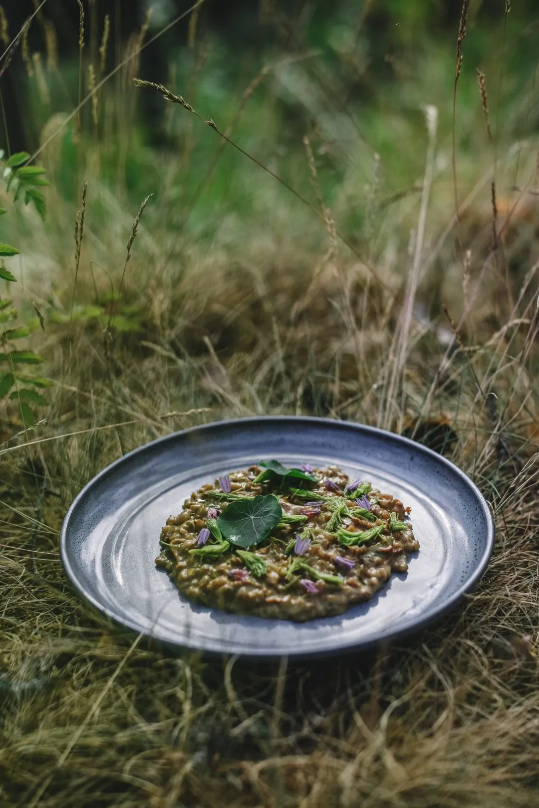 COZY PUBLISHING Eat Finland Buch